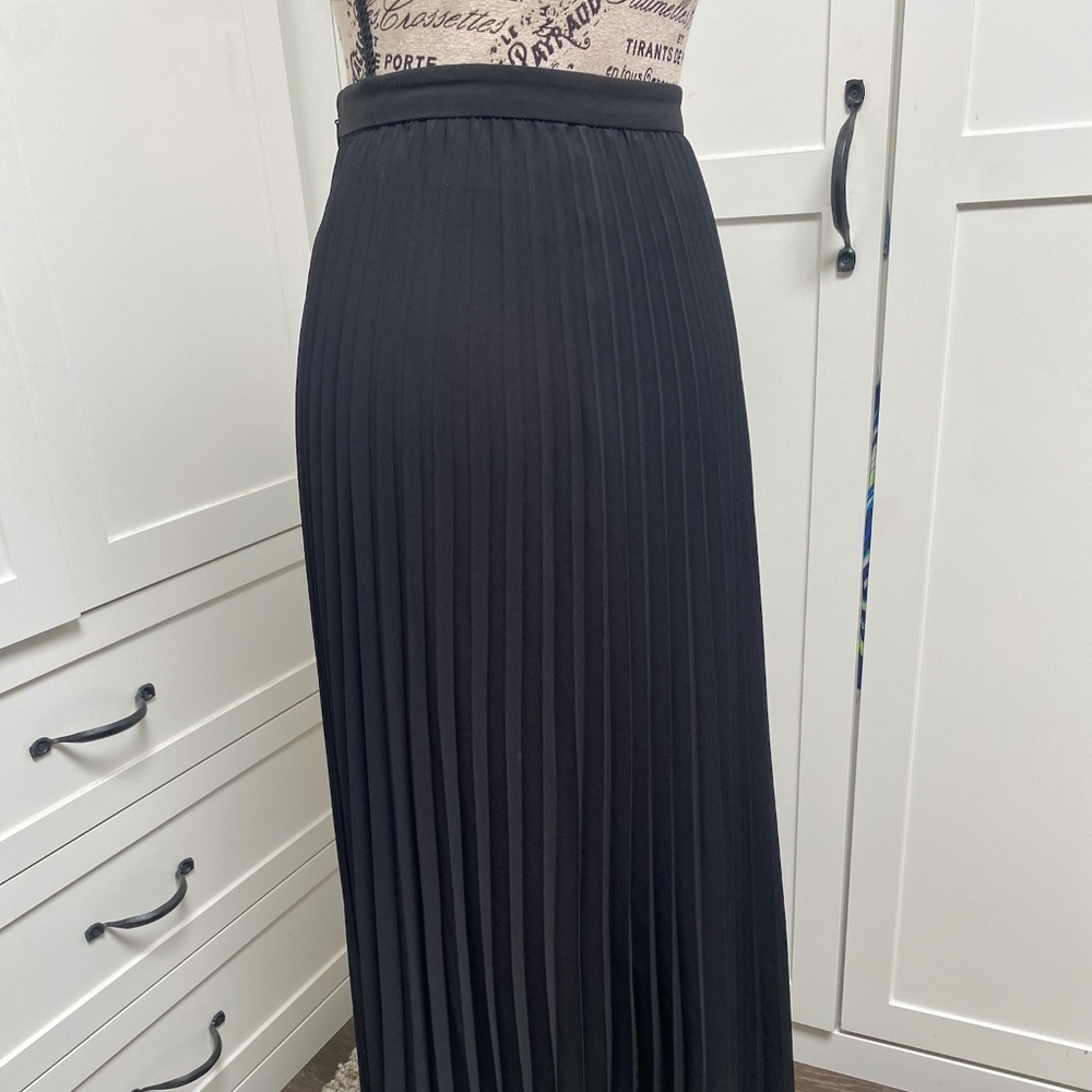 Banana Republic Pleated Dressy Maxi Skirt